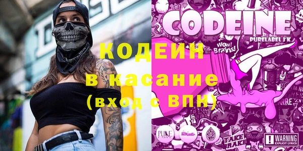 твердый Арсеньев