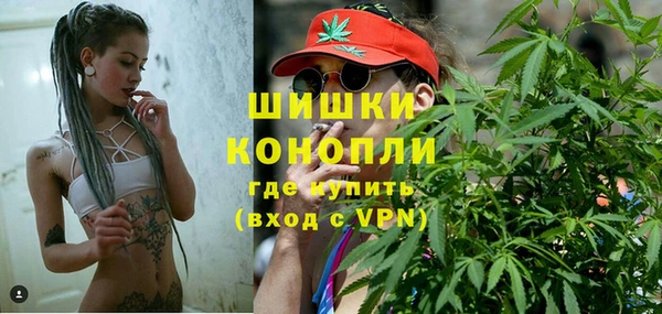 прущие грибы Аркадак