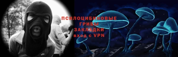прущие грибы Аркадак