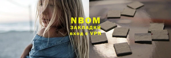 твердый Арсеньев