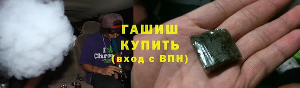 прущие грибы Аркадак
