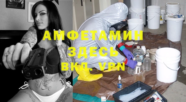 прущие грибы Аркадак