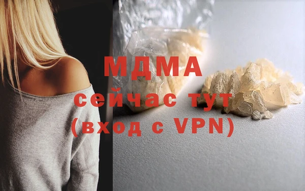 прущие грибы Аркадак