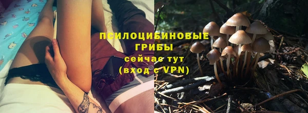 молекула духа Нягань