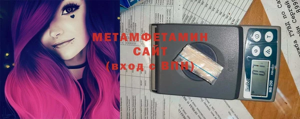 прущие грибы Аркадак